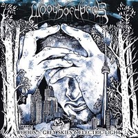 Woods Of Ypres - Woods 5 Grey Skies Electric Light - Cd - G1398Z
