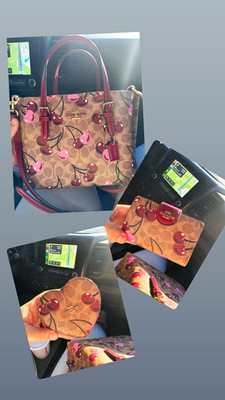 Coach Signature Cherry Print Small Satchel Top Handle Brown/Pink Det Strap