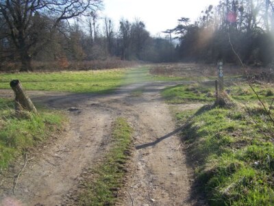 Foto 6x4 Der Wealdway verbindet die Greensand Way Hamptons Die zwei langen Entfernungen c2009
