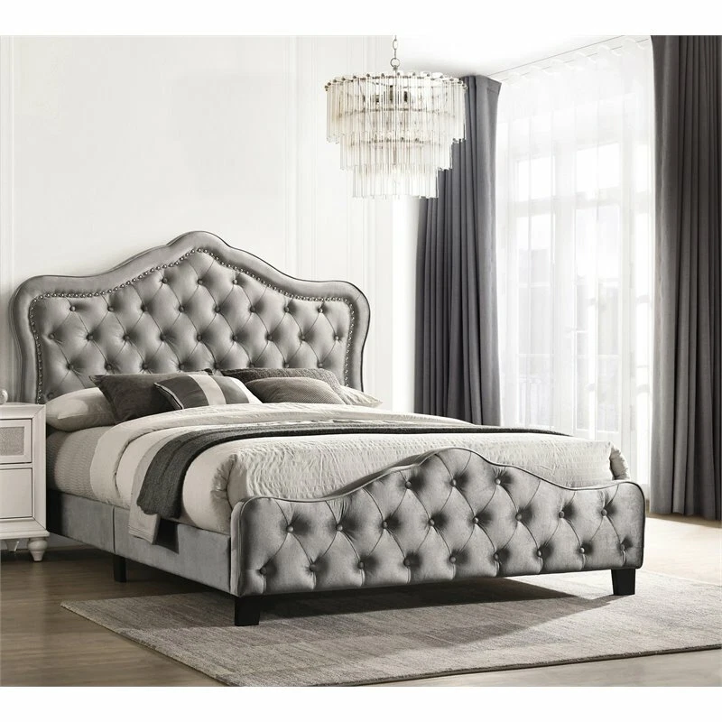 Cama Coaster Bella tapizada de terciopelo acolchado California King Panel en gris Foto 3 de 3