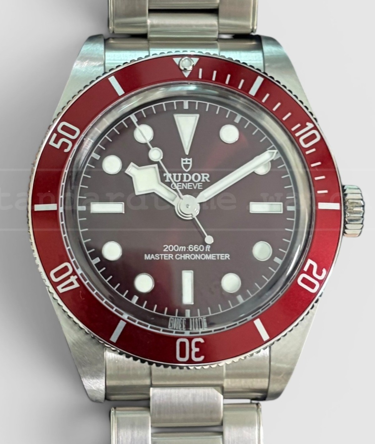 Tudor Black Bay 58 Oyster 7939A1A0RU