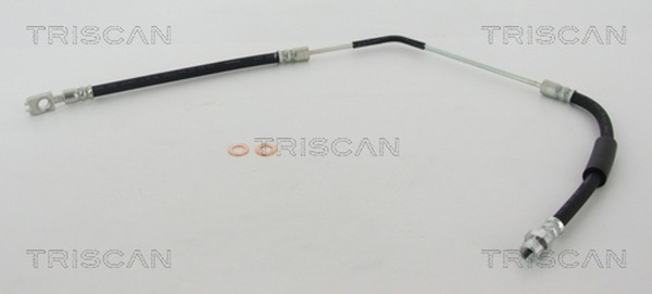 Bremsschlauch Triscan 8150 17306 FüR Rover Range L322 Landrover 3 4X4-image