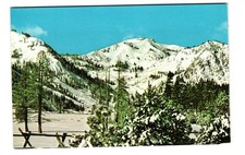 Squaw Valley Realty Olympic Valley CA vintage postcard Unposted