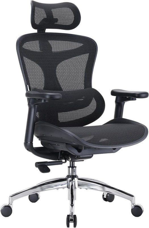 Sihoo Doro C300