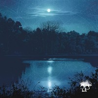 Planes Mistaken For Stars / Do You Still Love Me?