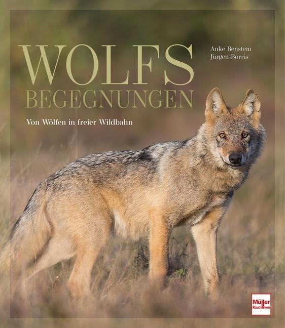 Thumbnail - Wolfsbegegnungen Anke Benstem 9783275022168