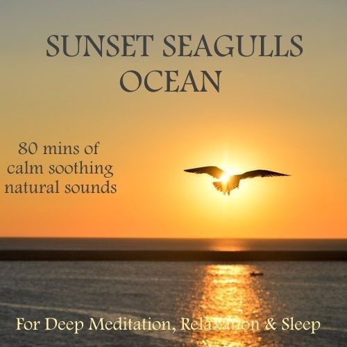 NATURE  SOUNDS CD -SUNSET, SEAGULLS & OCEAN WAVES S FOR RELAXATION CALM MIND  - Picture 1 of 2