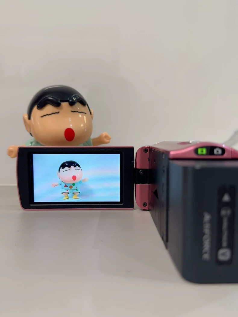 SONY HDR-CX270V 1080p HD Video Camera Handycam 30x Zoom -Pink | eBay