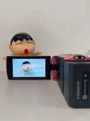 SONY HDR-CX270V 1080p HD Video Camera Handycam 30x Zoom -Pink | eBay