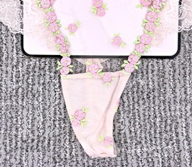 Victoria's Secret Dream Angels NWT Large Rosebud Embroider Thong Panty Sexy