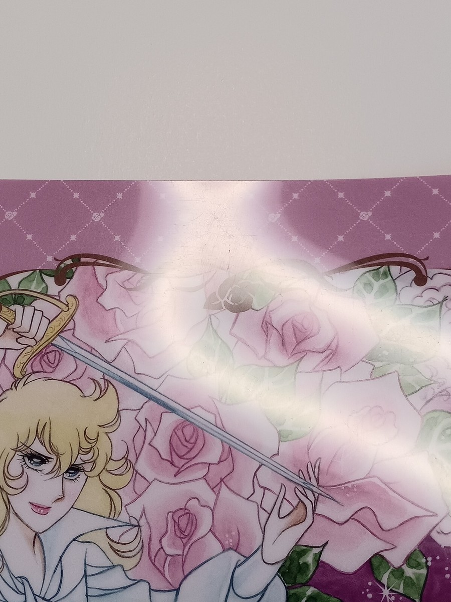 Marie Antoinette Oscar The Rose of Versailles A4 Clear File From