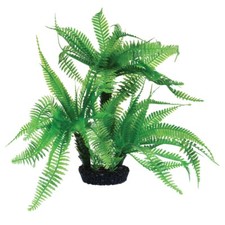 RA Jurassic Fern - 10"