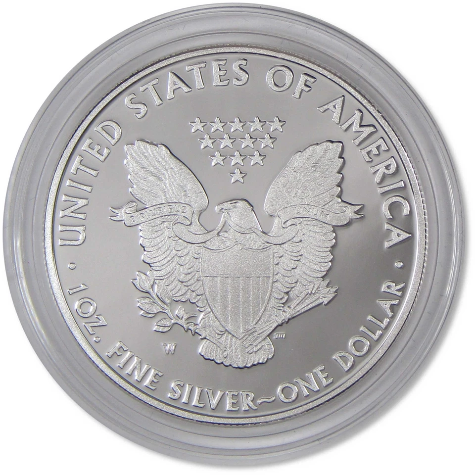 Moneda de 1 dólar W American Silver Eagle Choice Proof 2011 certificado de autenticidad OGP Foto 3 de 3