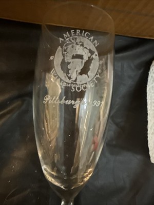 Luminarc Nuance Champagne Flute Set of 12 Glasses Stemware Etched