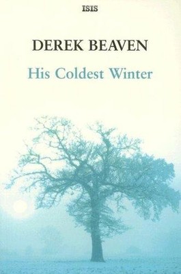 His Coldest Winter - Beaven, Derek