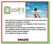 Batteria Ricaricabile LIR2450 3.6V Sostitutiva Per CR2450 BR2450 DL2450, Nuova