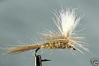 10 x Lot Mouche Sèche Cahill Parachute H12/14/16/18 dry fly pack mosca