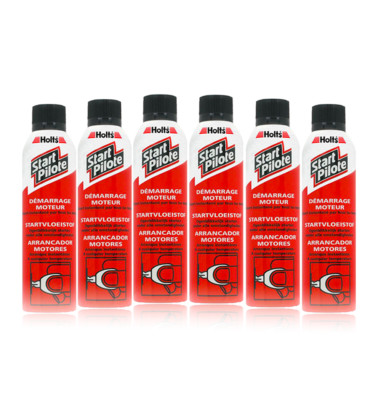 6x HOLTS Start Pilot Motorstart Spray Benzin Diesel 300 mL