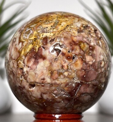 アイビスジャスパー　スフィア アイビスジャスパー スフィア 【公式通販】