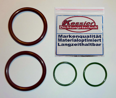 Viton O-Ring Dichtsatz für BMW Magnetventil Steuerventil Vanos N62 N62N N73 E60