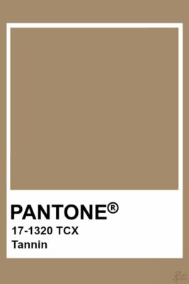 Pantone 17-1320 TCX Smart Color Swatch Card TANNIN | eBay