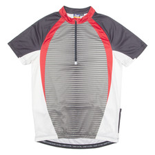 CRIVIT SPORTS Herren Fahrradtrikot Grau 1/4 Reißverschluss L