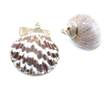 Gold Gilt Edged Real Seashell Pendants, Lot of 2