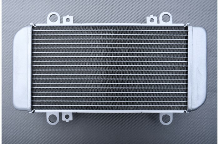 Radiateur eau Kawasaki Ninja 250R EX250K 2008 2009 2010 2011 2012 refroidissement