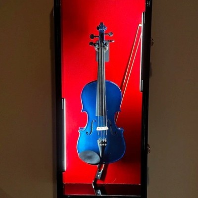 Violin Display Case LED Light Fiddle Mandolin Black Wood Cabinet Wall Holder