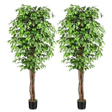 7ft Large Ficus Artificial Trees with Natural Curved Trunks, 84" Tall 7.2ft 2