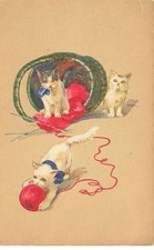 Gatto #35245 Gatti Cat Gatto 3 Gattini Gioco Con Una Di Lana Rosso