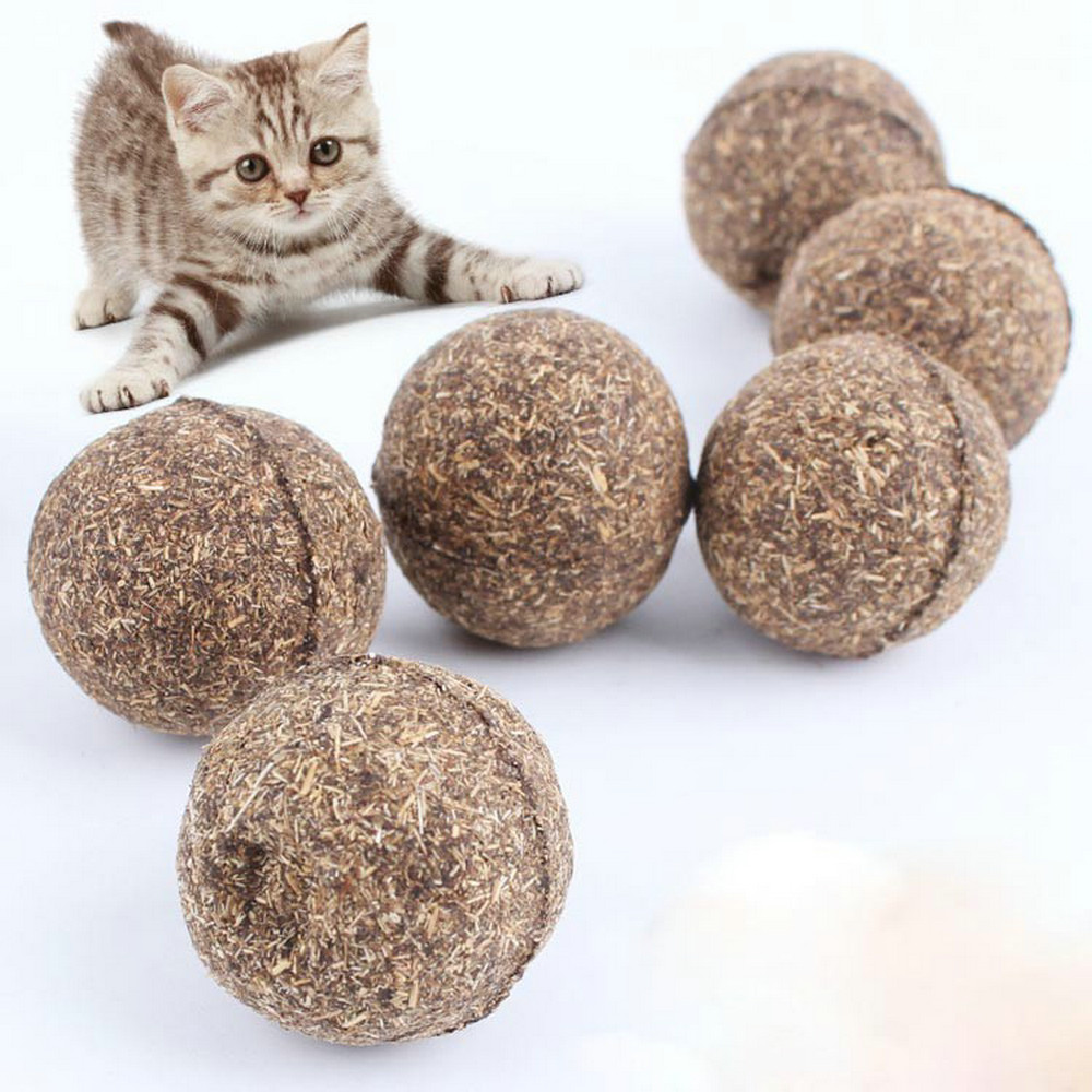 cat chew toys