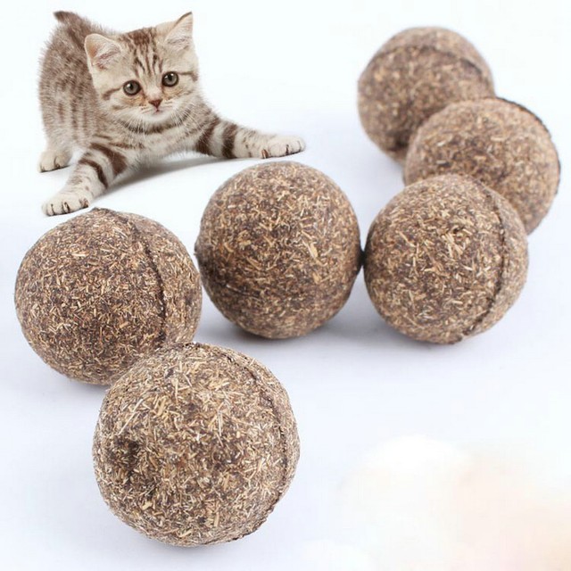 cat chew toys