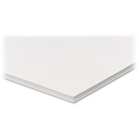 Elmers Sturdy Foam Board 3/16thick 20x30 25/ct White 950109 on sale Elmers Sturdy Foam Board 3/16thick 20x30 25/ct White 950109 on sale