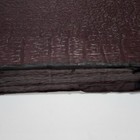 Picture 4 of 11