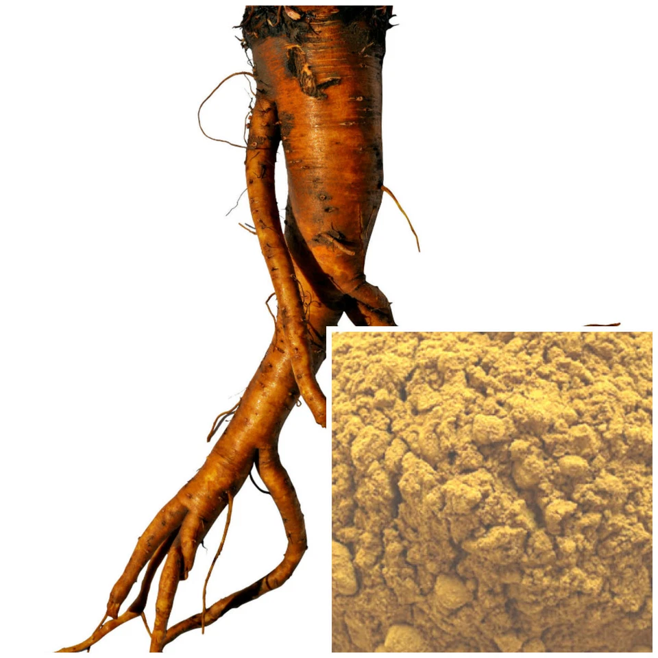 Yellow Dock Root powder, organic, soap making supplies, Natural colorant. - Image 4 of 4