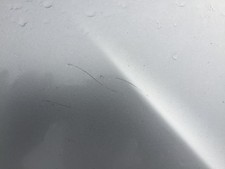 Capot Mazda PREMACY