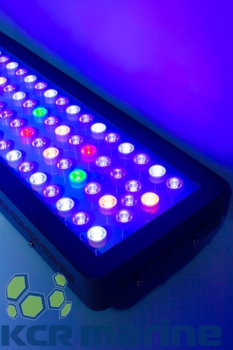 LED Marine Aquarium Reef Light Evergrow IT2040 IT2060 IT2080 IT2120 IT2012 - Picture 6 of 8