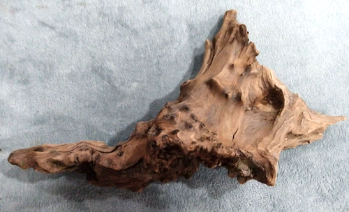 8" inch long Driftwood Natural Root Piece for aquarium or reptile tank - Bild 2 von 7