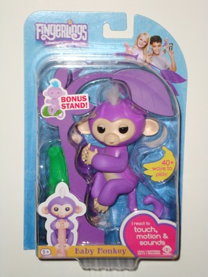 real fingerling monkey