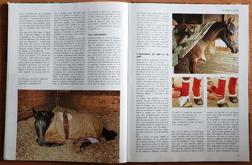 LE CHEVAL sans problème par Michèle LEWIGUE Édition GRUND Éducations,Soins 1982 - Picture 8 of 12
