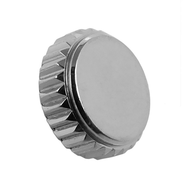 Festina Lotus | Uhrenkrone Edelstahl Silbern | F16820 18146 18152-image