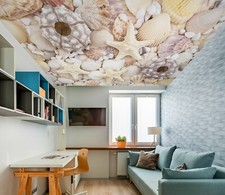 3D White Starfish ZHU148 Ceiling Wall Paper Wall Print Decal Wall Deco Zoe