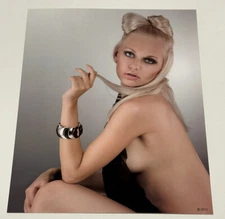 8x10 Photo Art Pinup Risque Bikini Girl Bathing Beauty Sexy Hair Model Photo