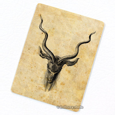 Bushbuck Antelope FRIDGE MAGNET, Decorative Ernst Haeckel Illustration Gift