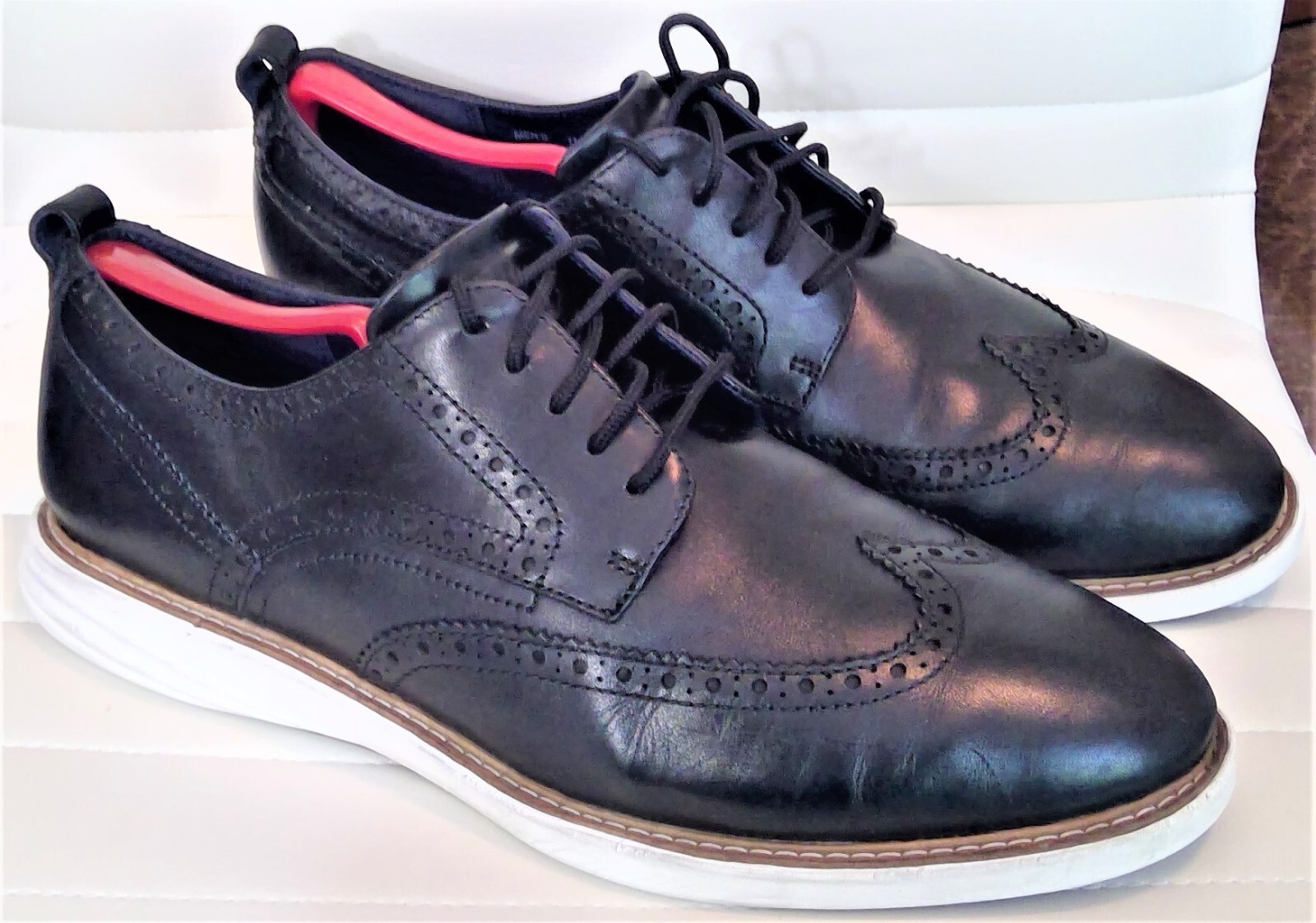 grand evolution shortwing