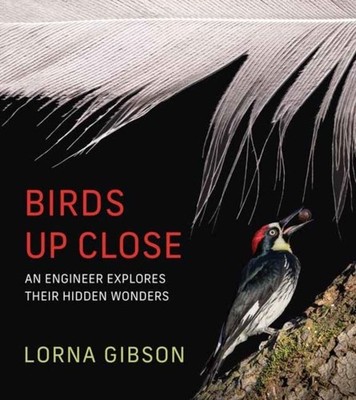 Birds Up Close: An Engineer Explores Their Hidden Wonders by Lorna Gibson