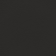 BMW Charcoal Leather Dye