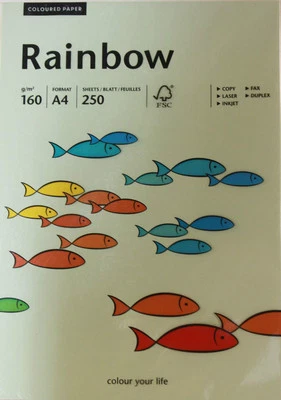 250 Blatt Rainbow farbiges Kopierpapier A4 160g Hellgrün