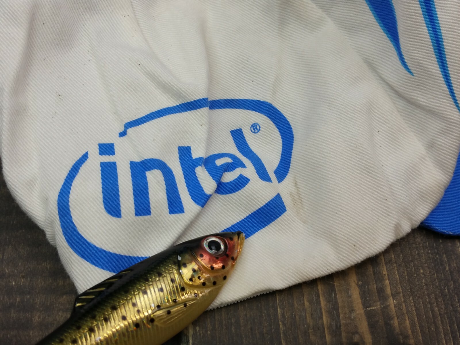 Vintage Intel Pentium Processor Computer Pace Spo… - image 4